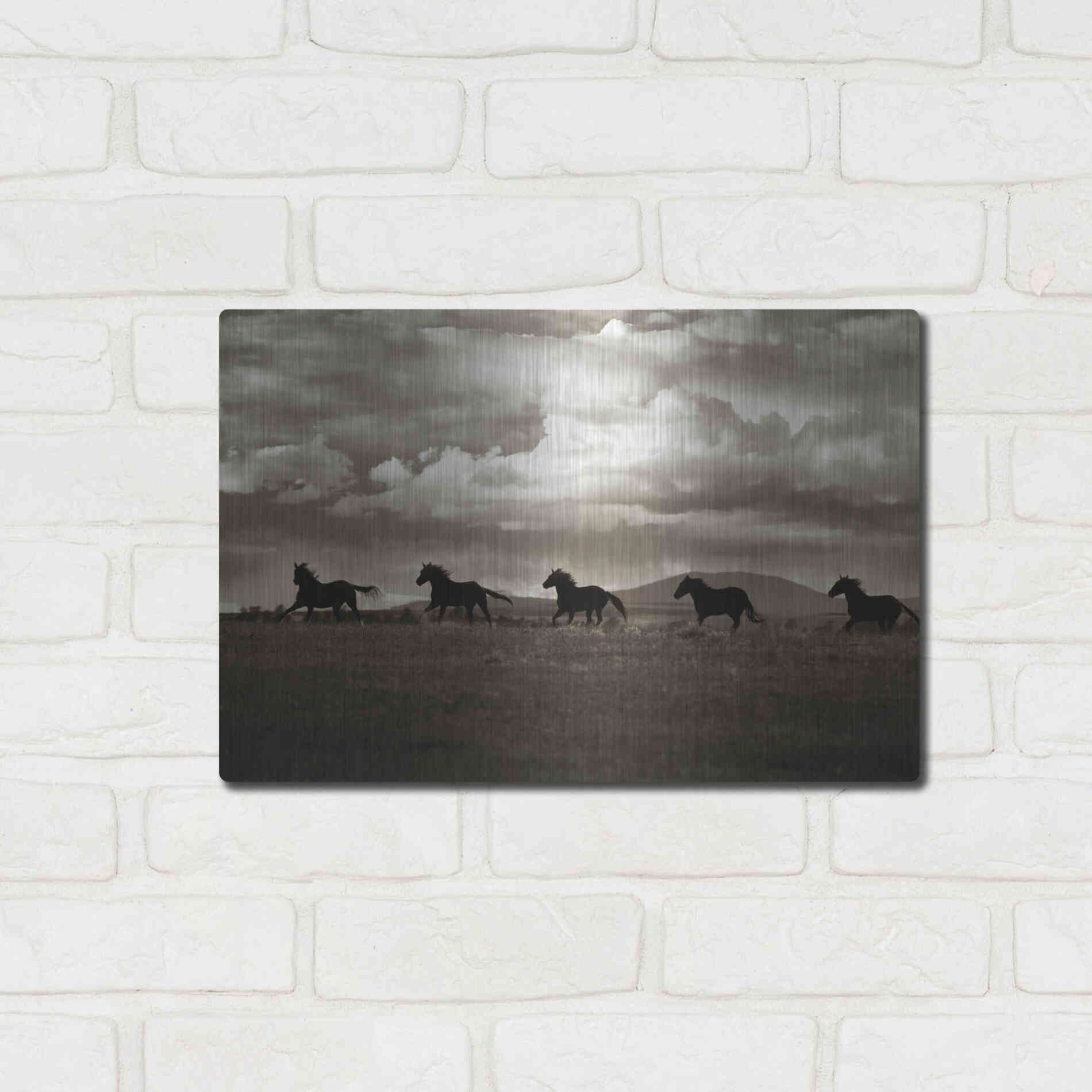 Luxe Metal Art 'Racing the Clouds' by Lisa Dearing, Metal Wall Art,16x12