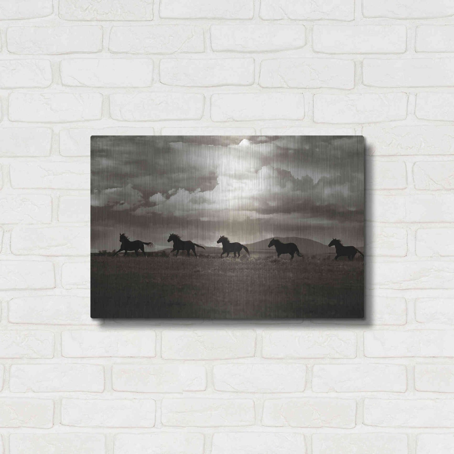 Luxe Metal Art 'Racing the Clouds' by Lisa Dearing, Metal Wall Art,24x16