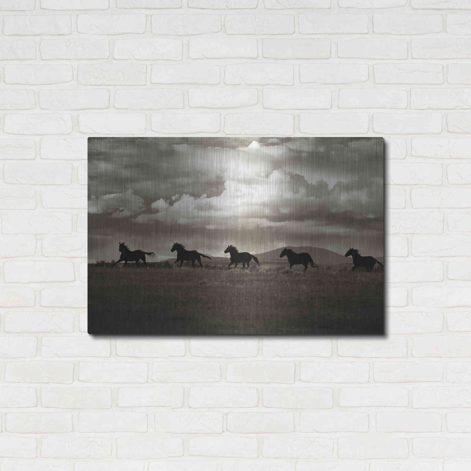 Luxe Metal Art 'Racing the Clouds' by Lisa Dearing, Metal Wall Art,36x24