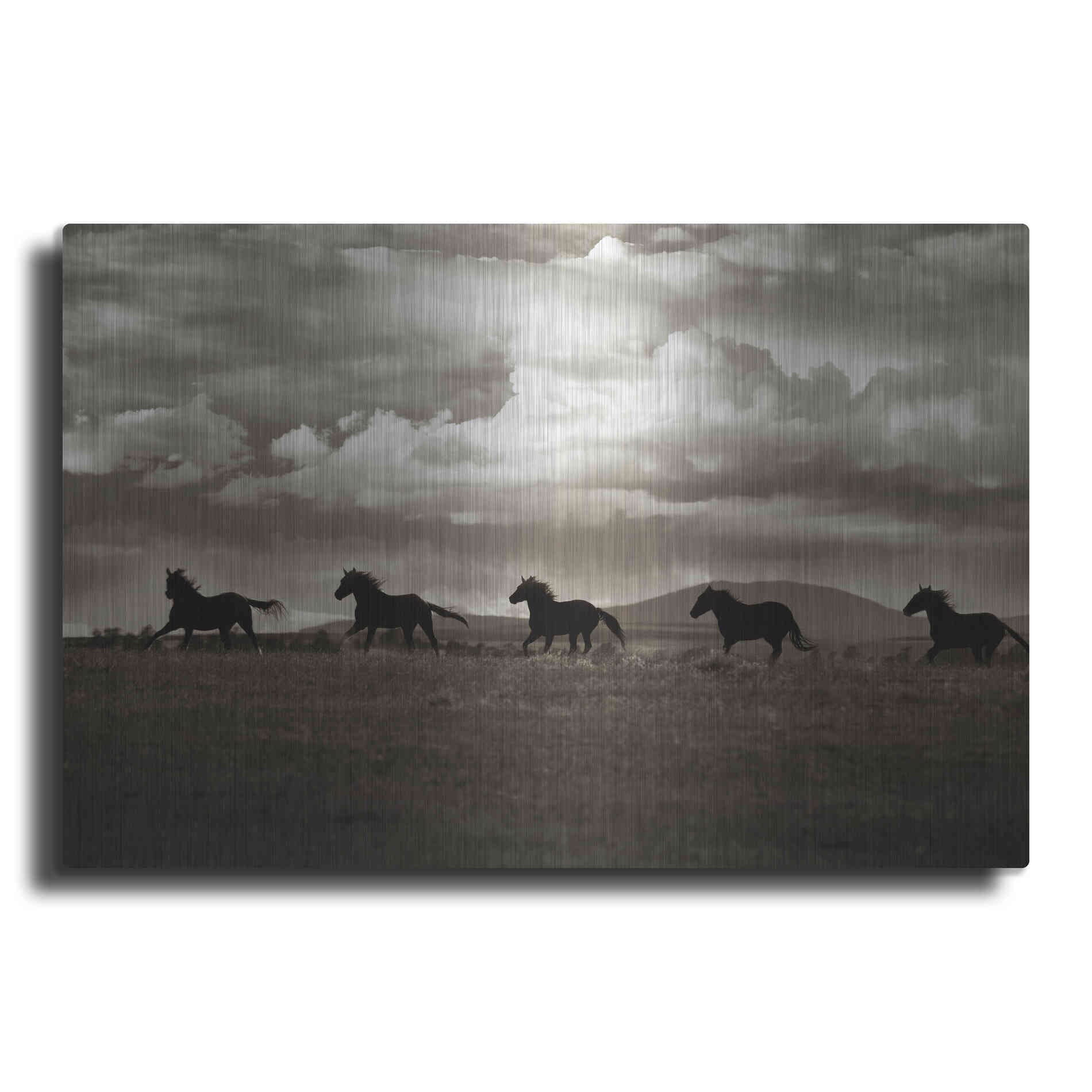 Luxe Metal Art 'Racing the Clouds' by Lisa Dearing, Metal Wall Art