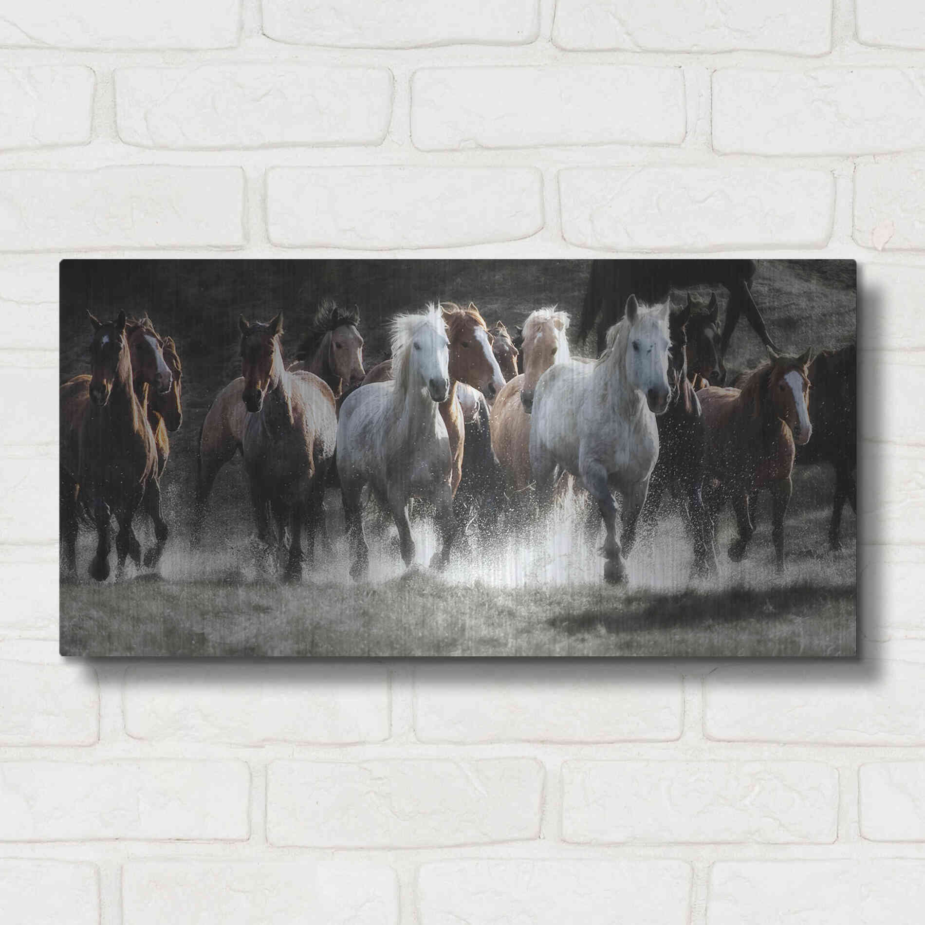 Luxe Metal Art 'Renegades' by Lisa Dearing, Metal Wall Art,24x12