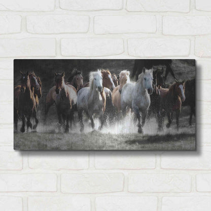 Luxe Metal Art 'Renegades' by Lisa Dearing, Metal Wall Art,24x12