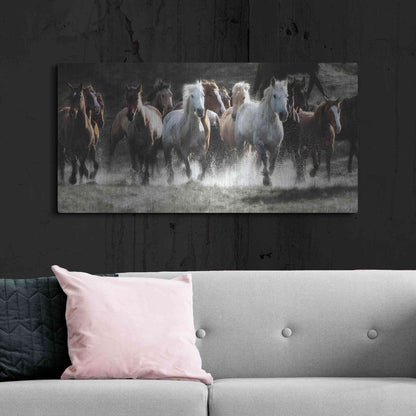 Luxe Metal Art 'Renegades' by Lisa Dearing, Metal Wall Art,48x24