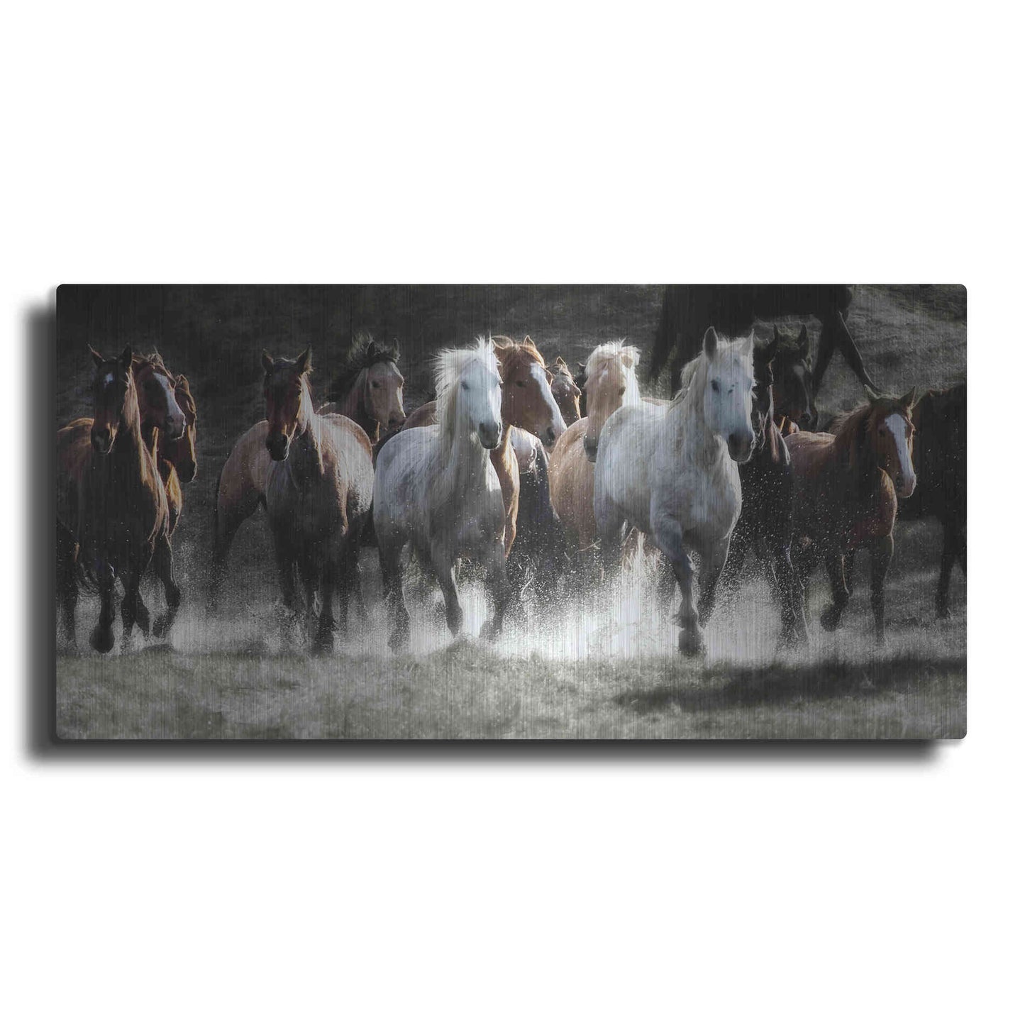 Luxe Metal Art 'Renegades' by Lisa Dearing, Metal Wall Art