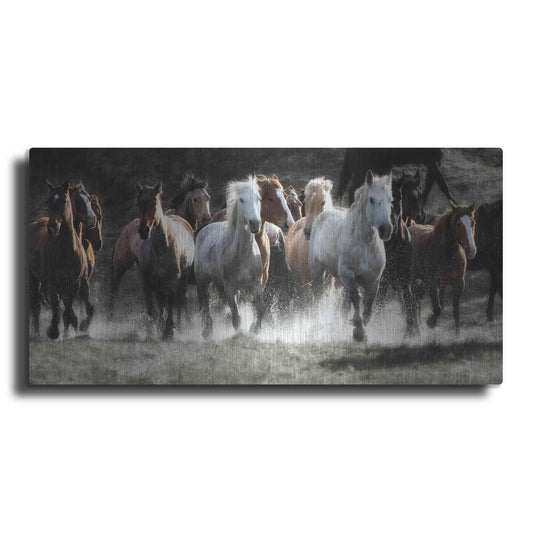 Luxe Metal Art 'Renegades' by Lisa Dearing, Metal Wall Art