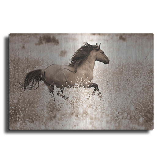 Luxe Metal Art 'Running Free' by Lisa Dearing, Metal Wall Art