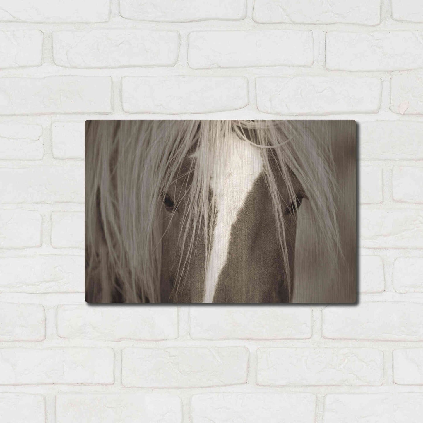 Luxe Metal Art 'The Blonde' by Lisa Dearing, Metal Wall Art,16x12