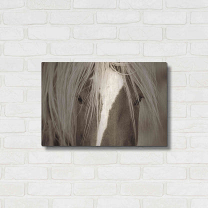 Luxe Metal Art 'The Blonde' by Lisa Dearing, Metal Wall Art,24x16