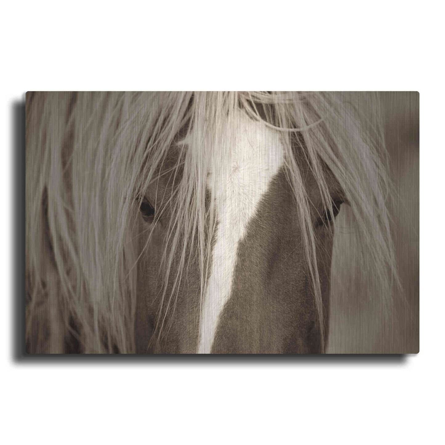Luxe Metal Art 'The Blonde' by Lisa Dearing, Metal Wall Art
