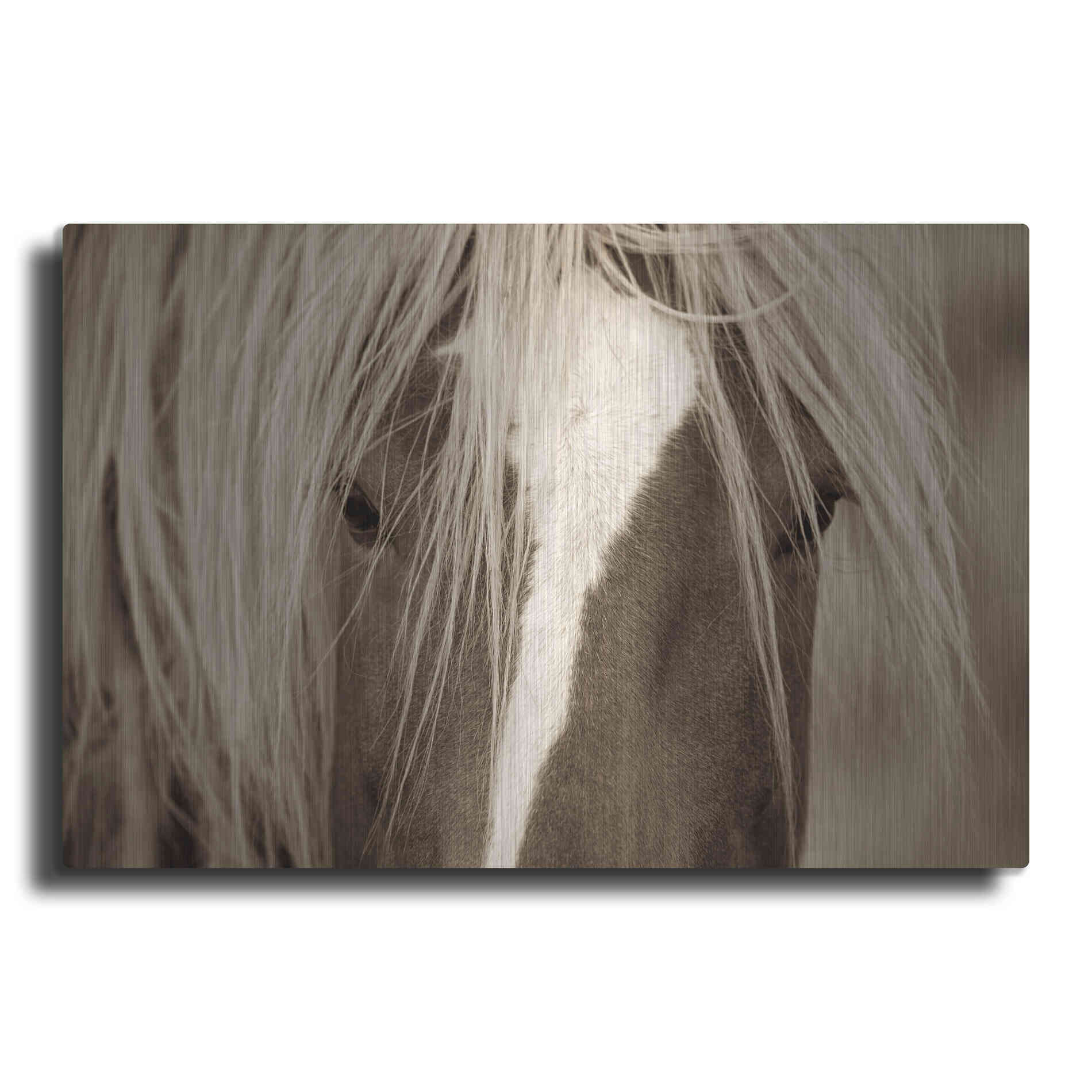 Luxe Metal Art 'The Blonde' by Lisa Dearing, Metal Wall Art