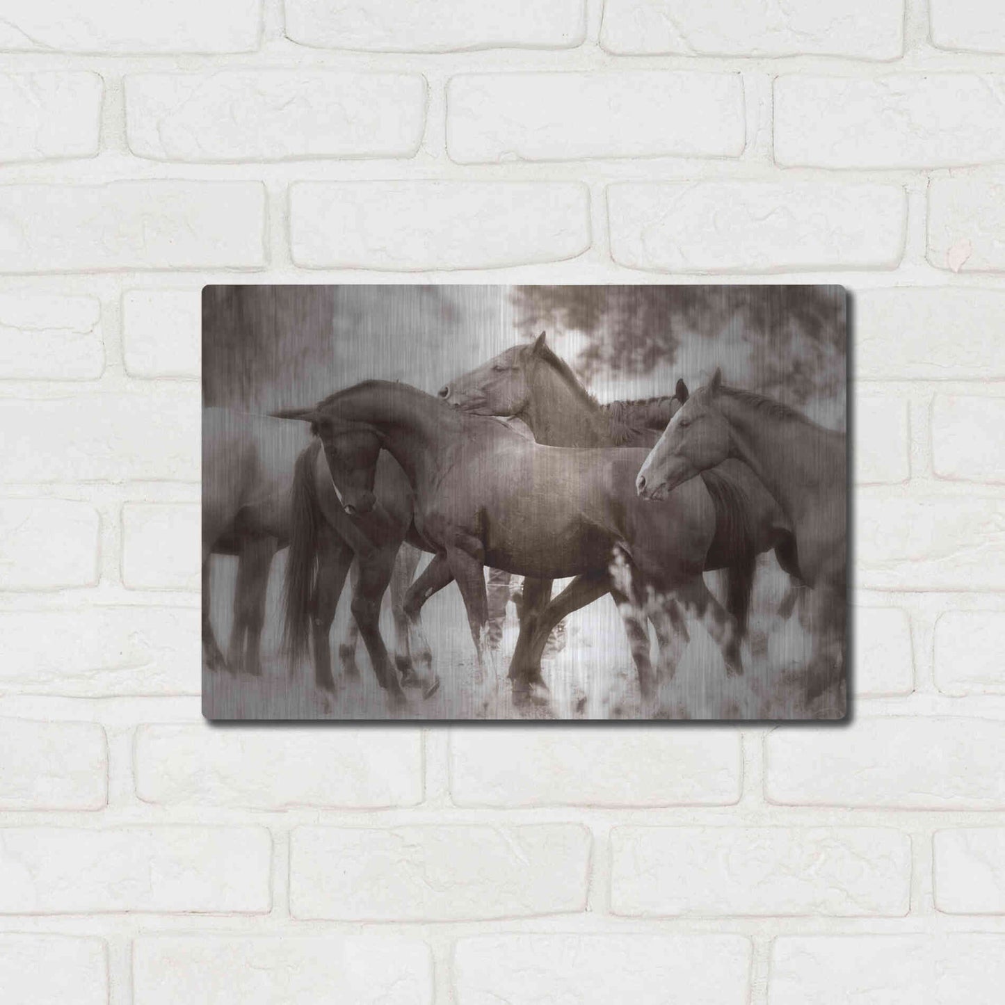 Luxe Metal Art 'The Herd' by Lisa Dearing, Metal Wall Art,16x12