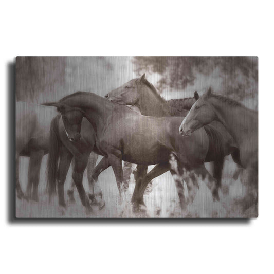 Luxe Metal Art 'The Herd' by Lisa Dearing, Metal Wall Art