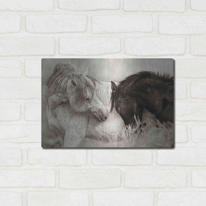 Luxe Metal Art 'The Long Goodbye' by Lisa Dearing, Metal Wall Art,16x12