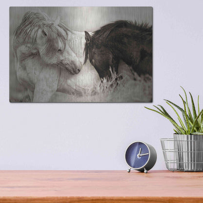 Luxe Metal Art 'The Long Goodbye' by Lisa Dearing, Metal Wall Art,16x12