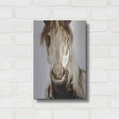 Luxe Metal Art 'Wilbur Cruz' by Lisa Dearing, Metal Wall Art,12x16