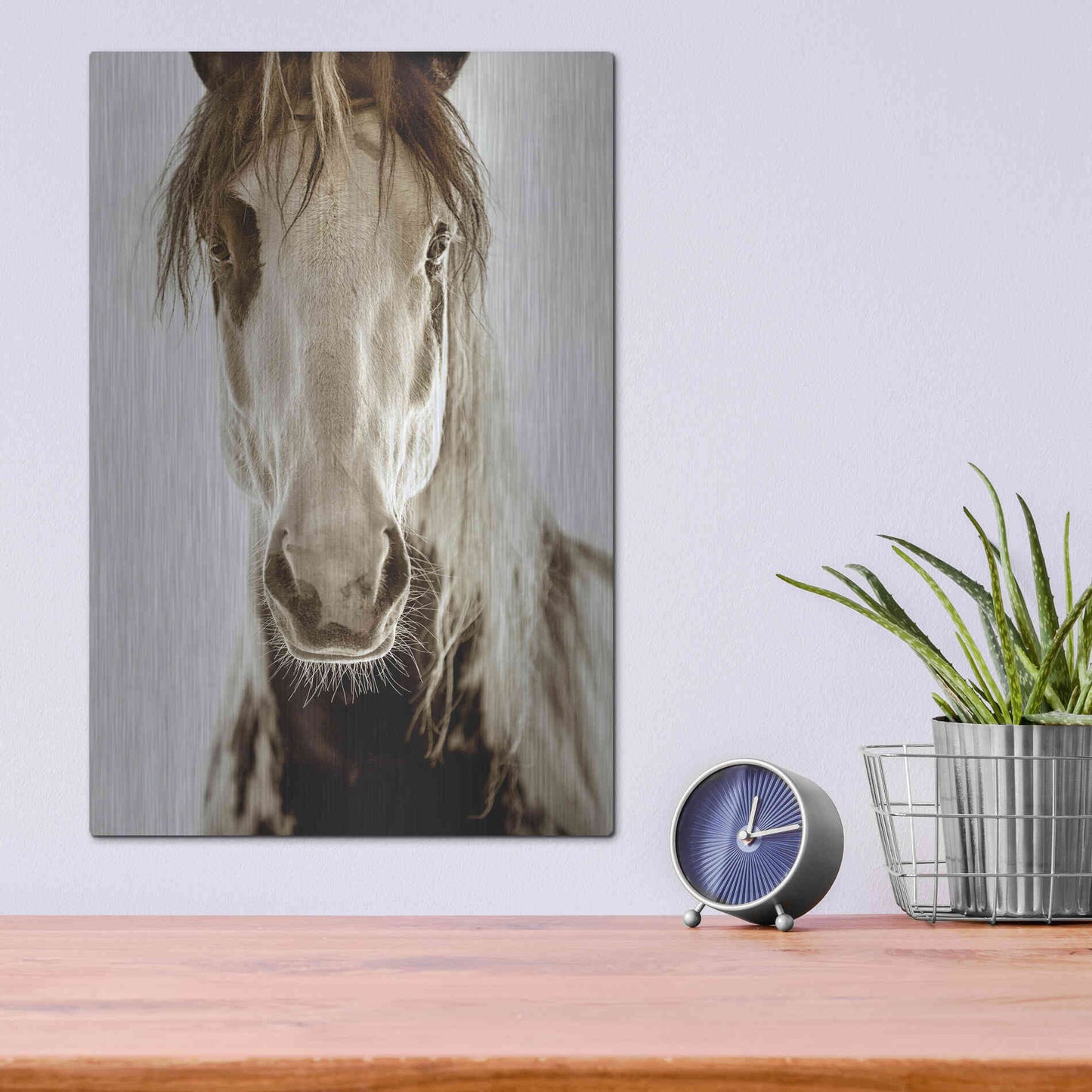 Luxe Metal Art 'Wilbur Cruz' by Lisa Dearing, Metal Wall Art,12x16