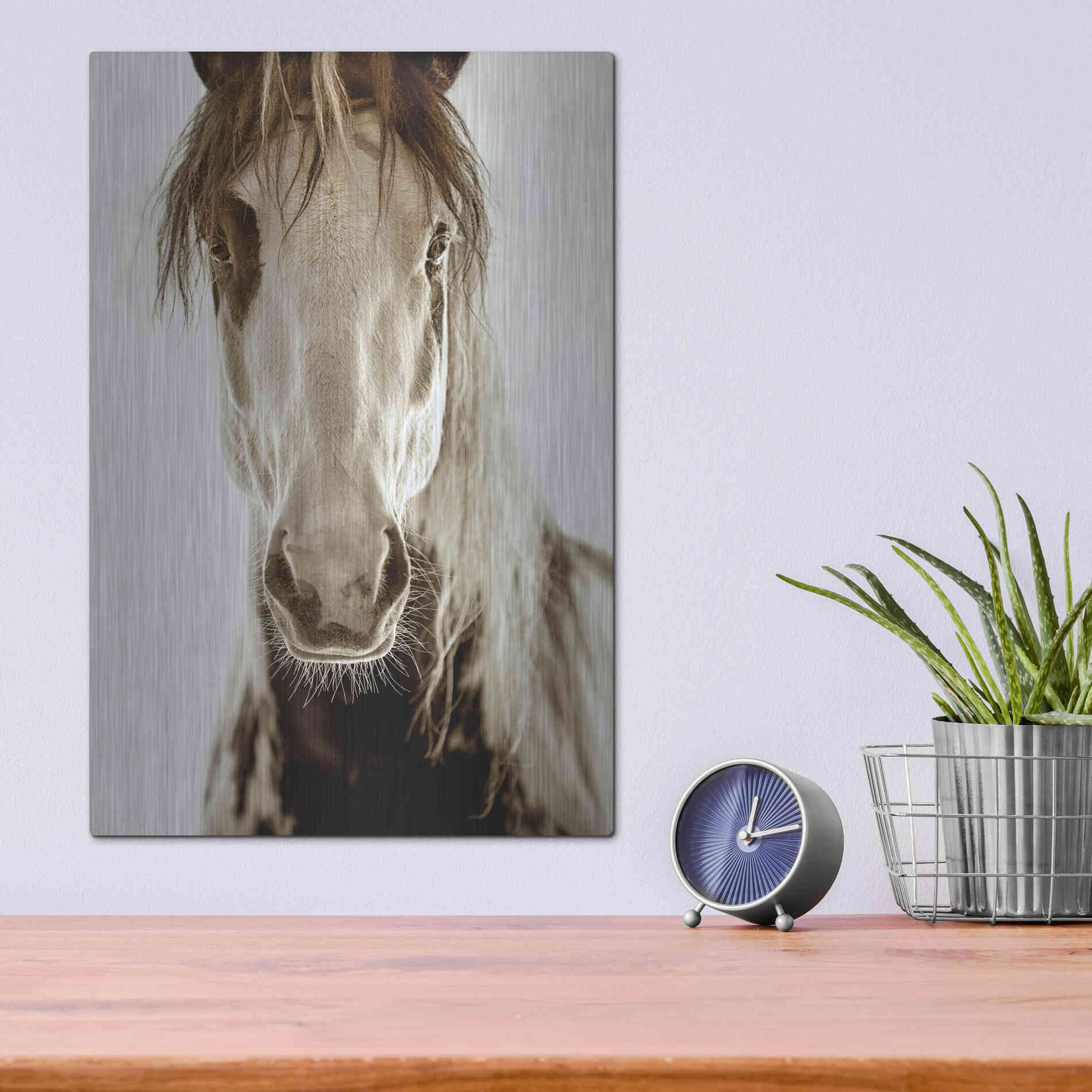 Luxe Metal Art 'Wilbur Cruz' by Lisa Dearing, Metal Wall Art,12x16