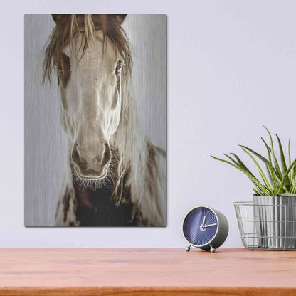Luxe Metal Art 'Wilbur Cruz' by Lisa Dearing, Metal Wall Art,12x16