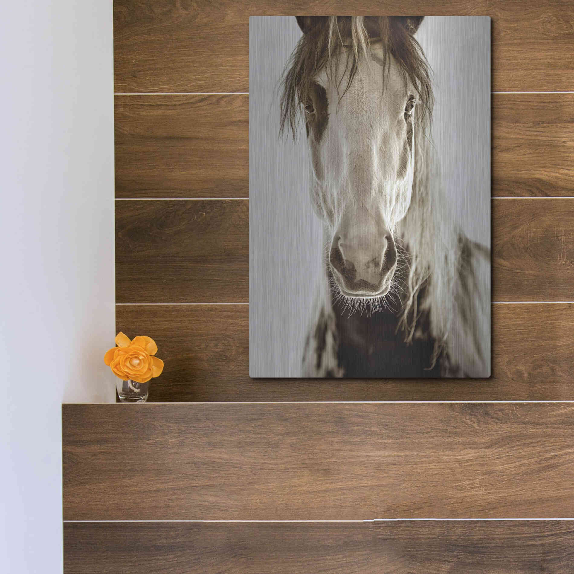 Luxe Metal Art 'Wilbur Cruz' by Lisa Dearing, Metal Wall Art,12x16