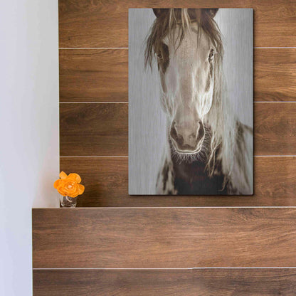 Luxe Metal Art 'Wilbur Cruz' by Lisa Dearing, Metal Wall Art,12x16