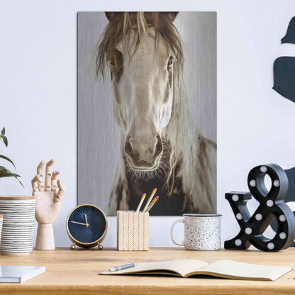 Luxe Metal Art 'Wilbur Cruz' by Lisa Dearing, Metal Wall Art,12x16