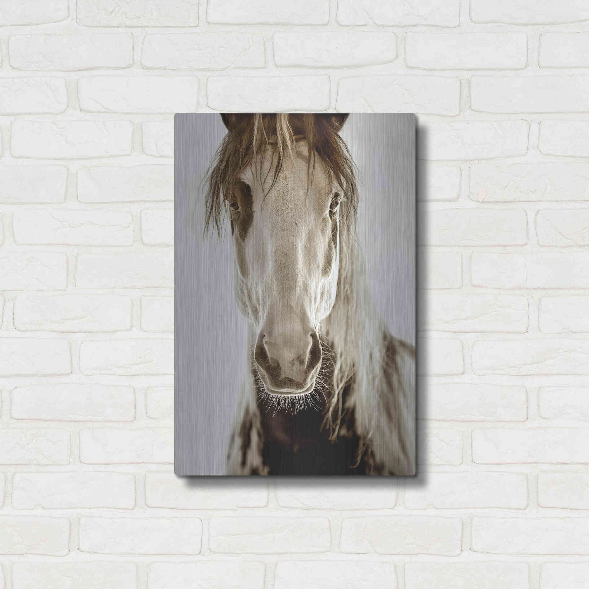 Luxe Metal Art 'Wilbur Cruz' by Lisa Dearing, Metal Wall Art,16x24