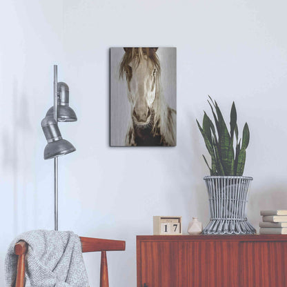 Luxe Metal Art 'Wilbur Cruz' by Lisa Dearing, Metal Wall Art,16x24