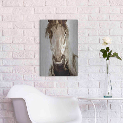 Luxe Metal Art 'Wilbur Cruz' by Lisa Dearing, Metal Wall Art,16x24