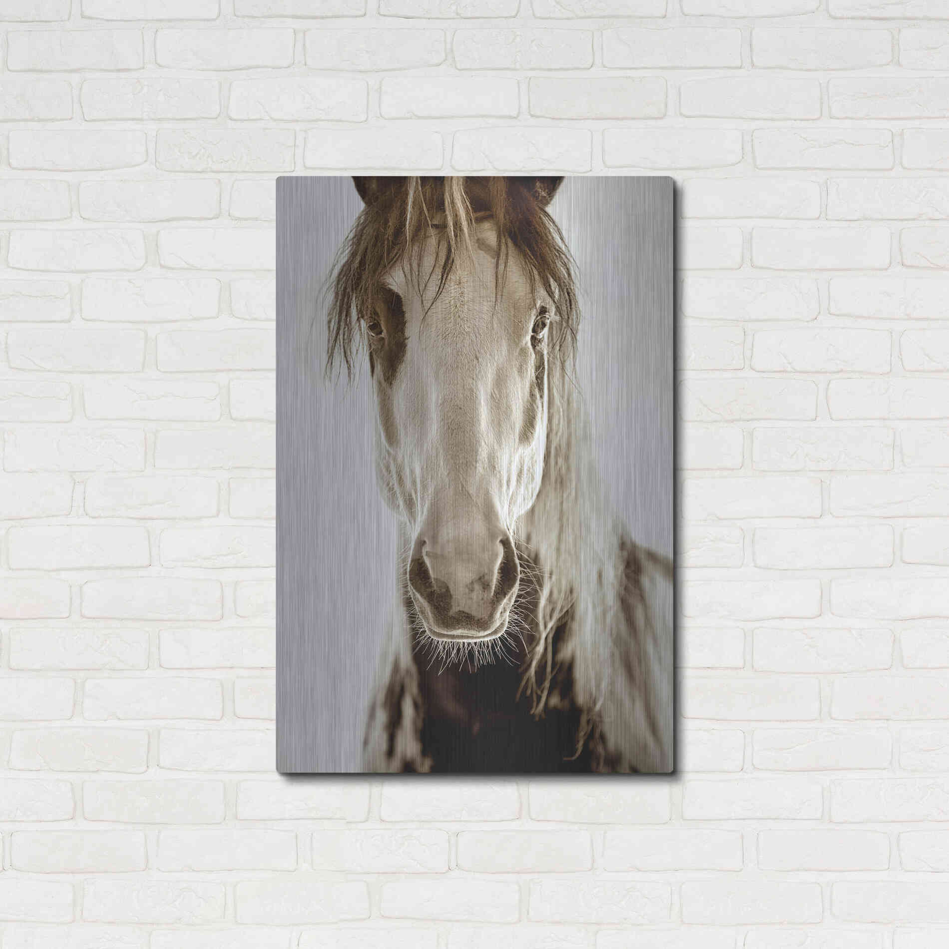 Luxe Metal Art 'Wilbur Cruz' by Lisa Dearing, Metal Wall Art,24x36