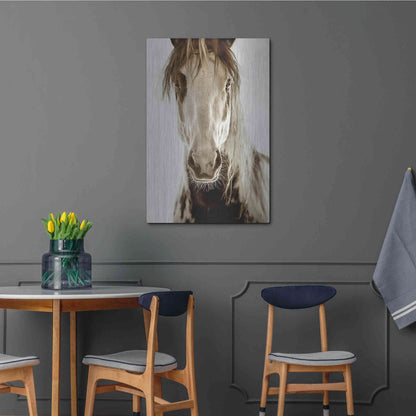 Luxe Metal Art 'Wilbur Cruz' by Lisa Dearing, Metal Wall Art,24x36