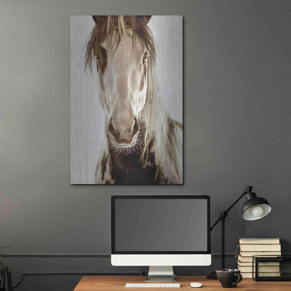 Luxe Metal Art 'Wilbur Cruz' by Lisa Dearing, Metal Wall Art,24x36
