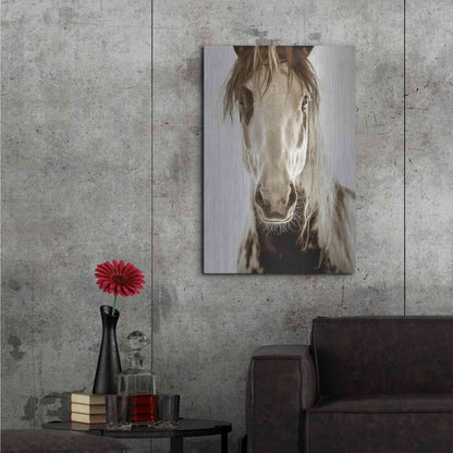 Luxe Metal Art 'Wilbur Cruz' by Lisa Dearing, Metal Wall Art,24x36
