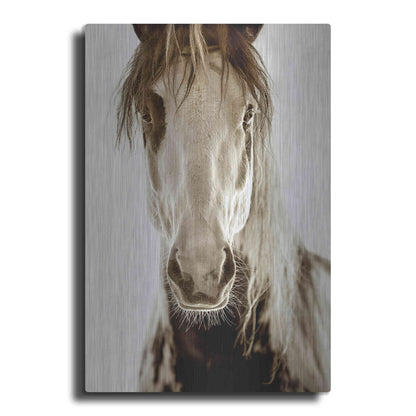 Luxe Metal Art 'Wilbur Cruz' by Lisa Dearing, Metal Wall Art