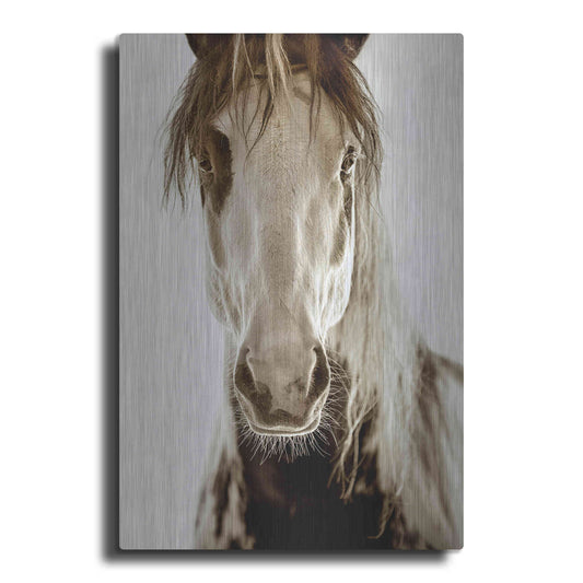 Luxe Metal Art 'Wilbur Cruz' by Lisa Dearing, Metal Wall Art