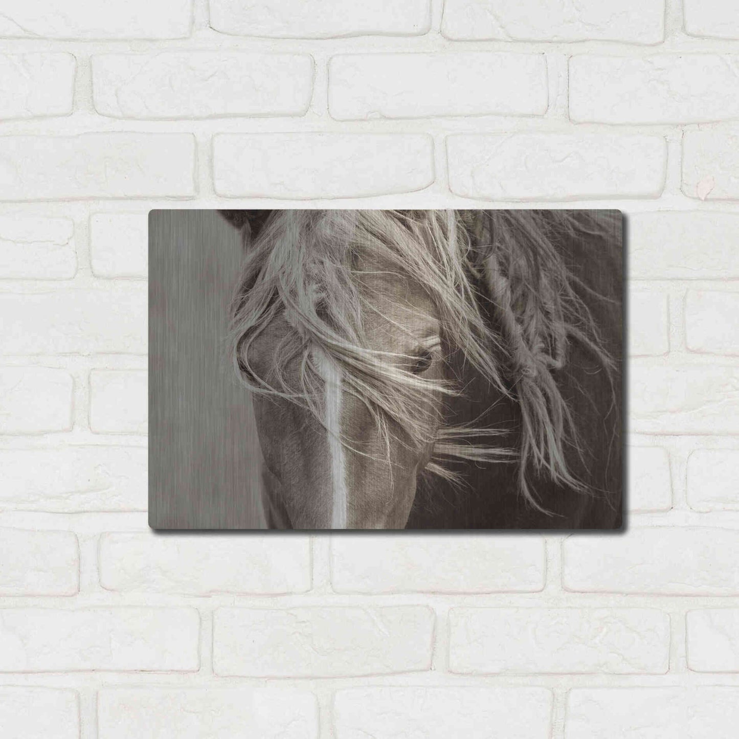 Luxe Metal Art 'Wind Knots' by Lisa Dearing, Metal Wall Art,16x12