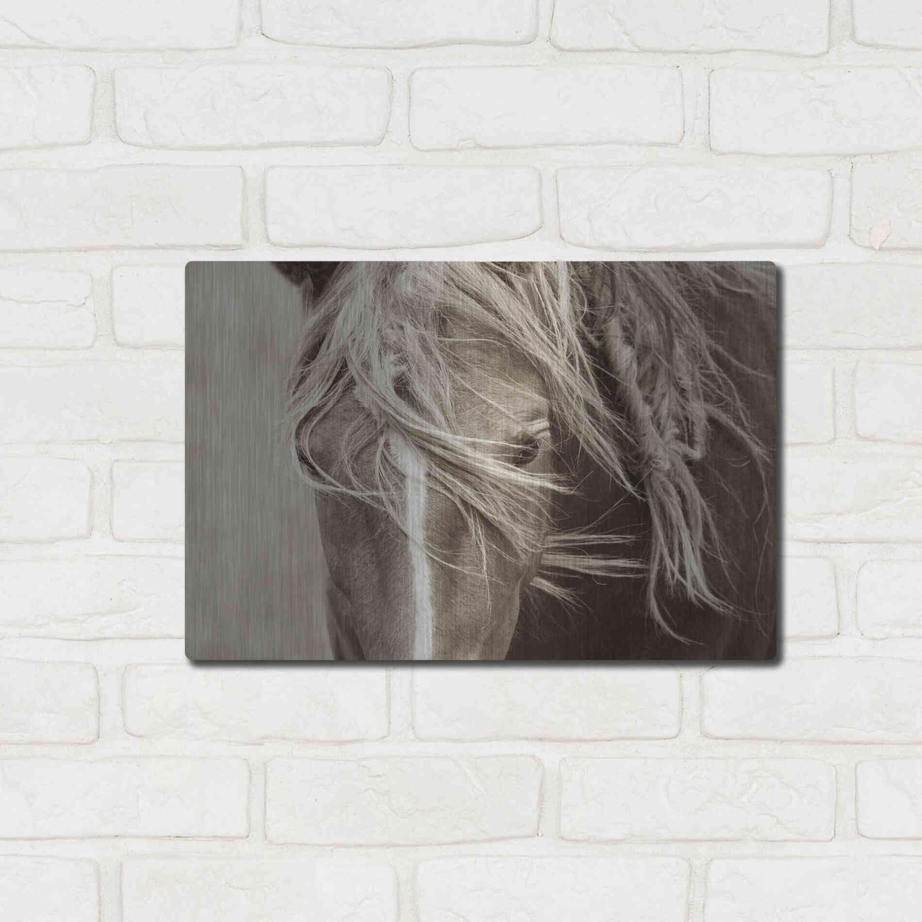 Luxe Metal Art 'Wind Knots' by Lisa Dearing, Metal Wall Art,16x12
