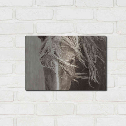 Luxe Metal Art 'Wind Knots' by Lisa Dearing, Metal Wall Art,16x12
