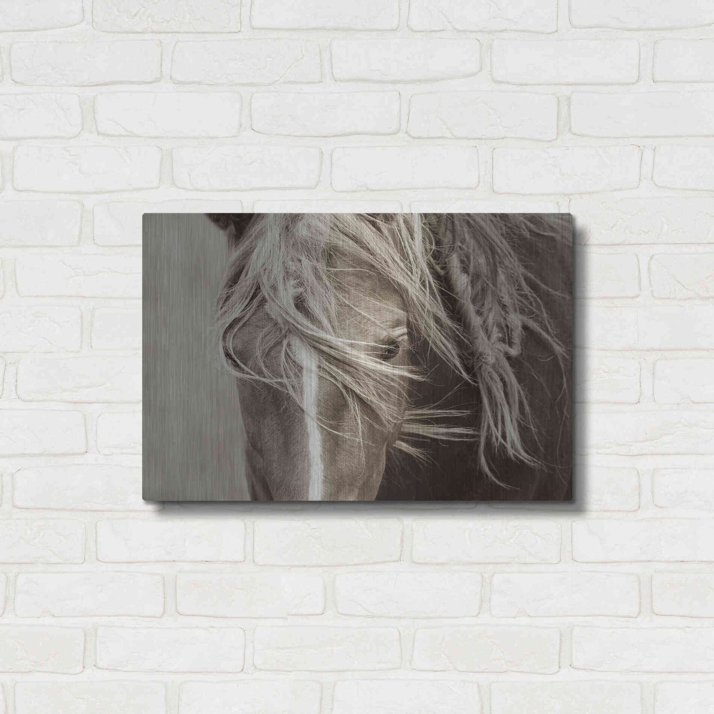 Luxe Metal Art 'Wind Knots' by Lisa Dearing, Metal Wall Art,24x16