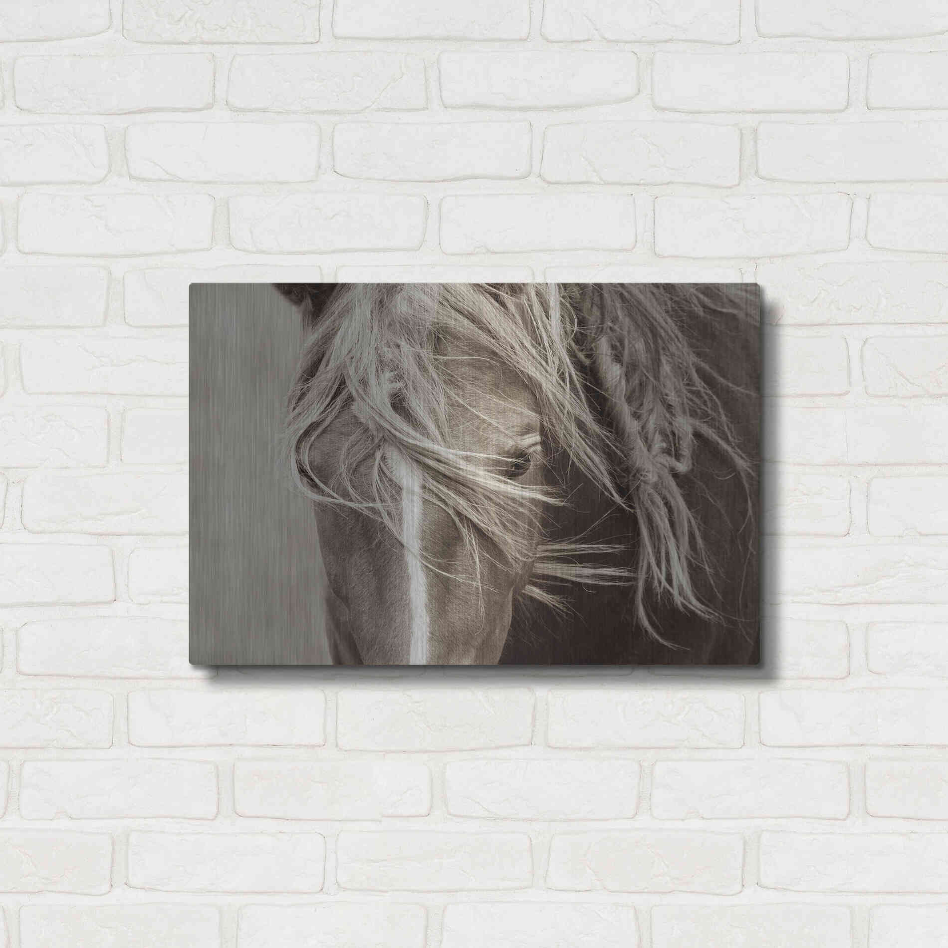 Luxe Metal Art 'Wind Knots' by Lisa Dearing, Metal Wall Art,24x16