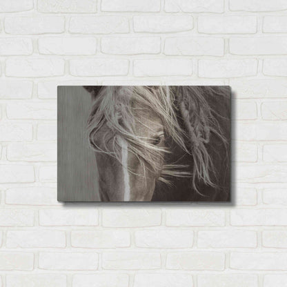 Luxe Metal Art 'Wind Knots' by Lisa Dearing, Metal Wall Art,24x16