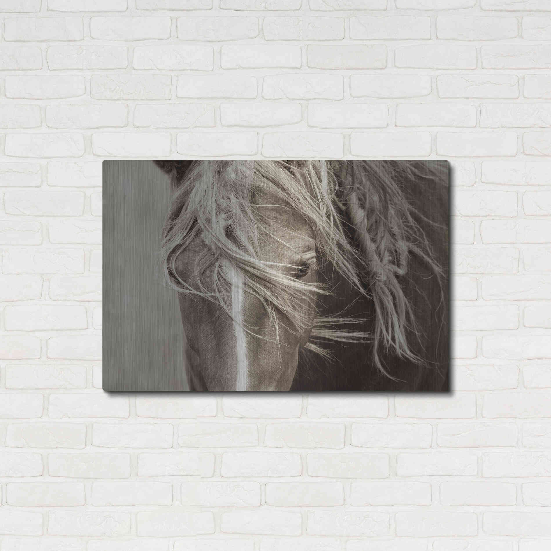 Luxe Metal Art 'Wind Knots' by Lisa Dearing, Metal Wall Art,36x24