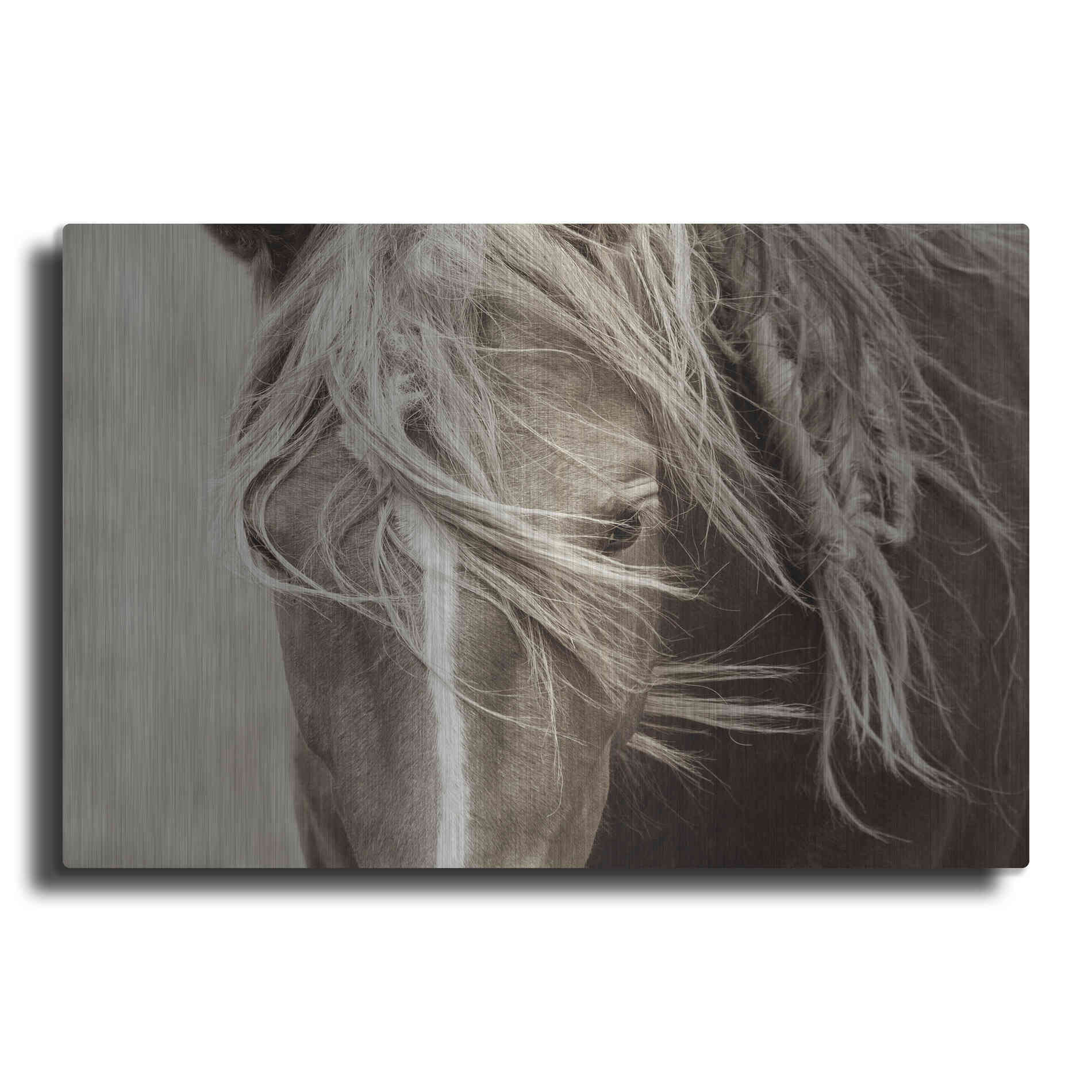 Luxe Metal Art 'Wind Knots' by Lisa Dearing, Metal Wall Art