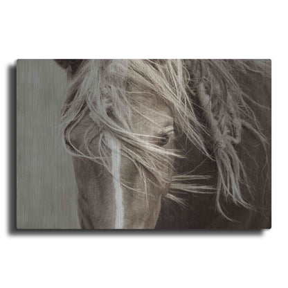 Luxe Metal Art 'Wind Knots' by Lisa Dearing, Metal Wall Art