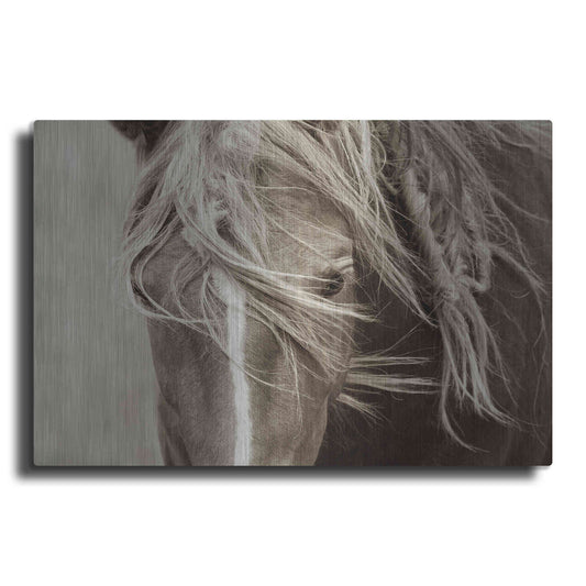 Luxe Metal Art 'Wind Knots' by Lisa Dearing, Metal Wall Art