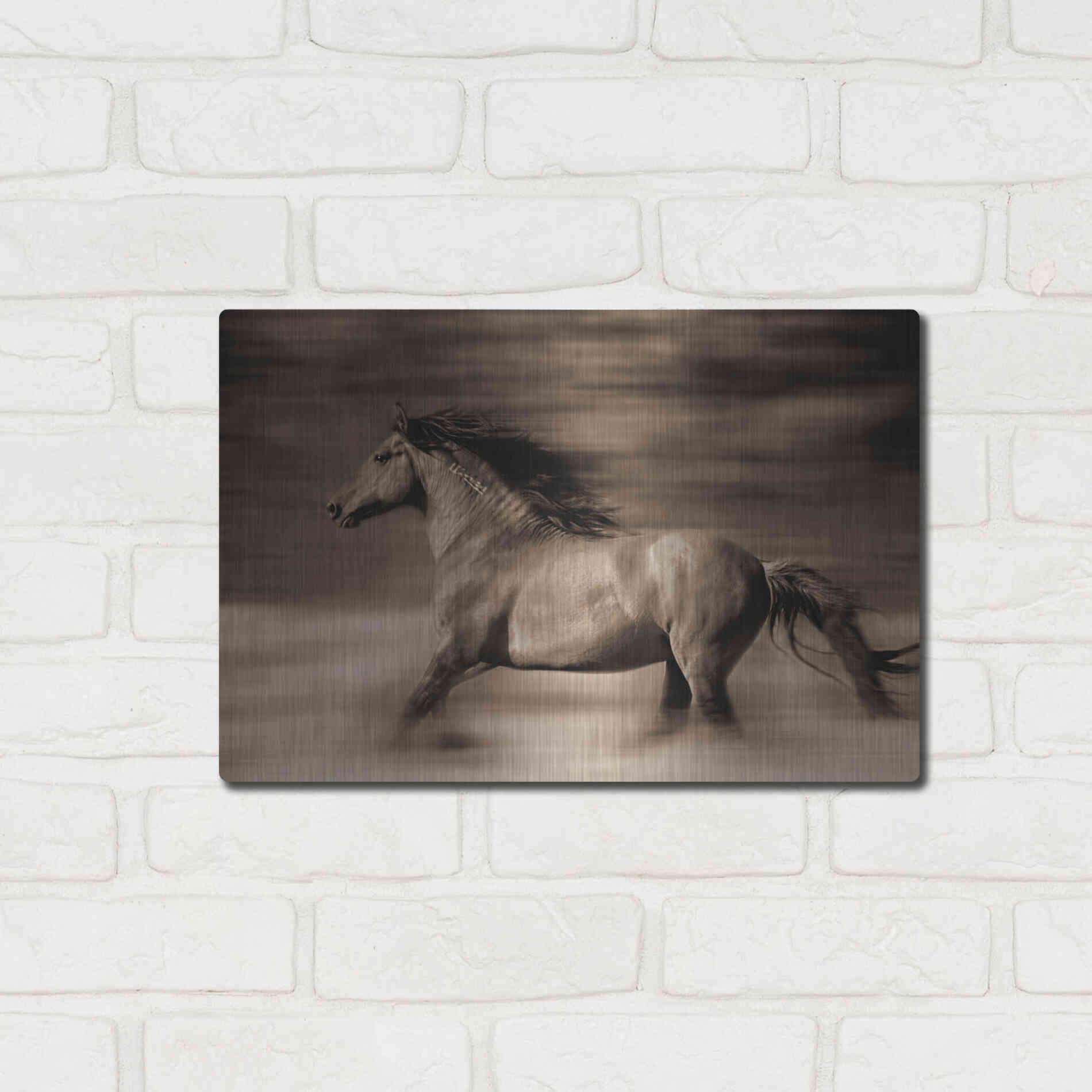 Luxe Metal Art 'Wind Runner' by Lisa Dearing, Metal Wall Art,16x12