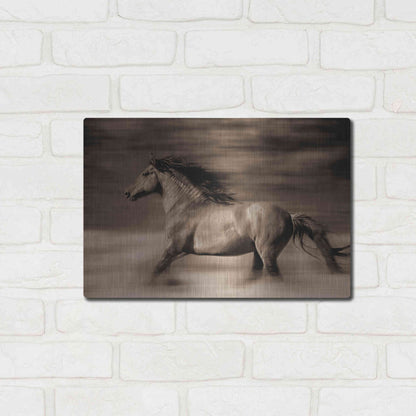 Luxe Metal Art 'Wind Runner' by Lisa Dearing, Metal Wall Art,16x12