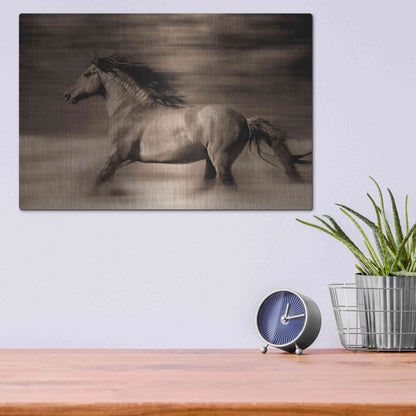 Luxe Metal Art 'Wind Runner' by Lisa Dearing, Metal Wall Art,16x12