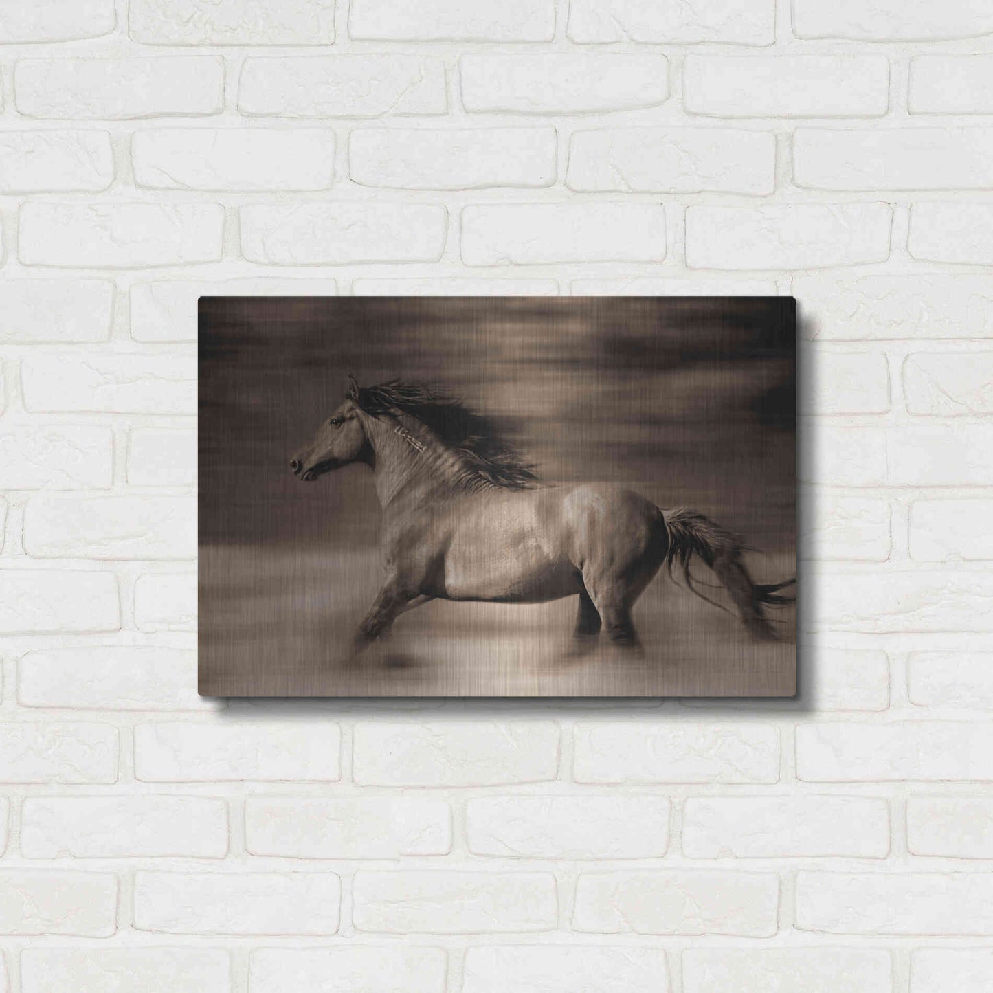 Luxe Metal Art 'Wind Runner' by Lisa Dearing, Metal Wall Art,24x16