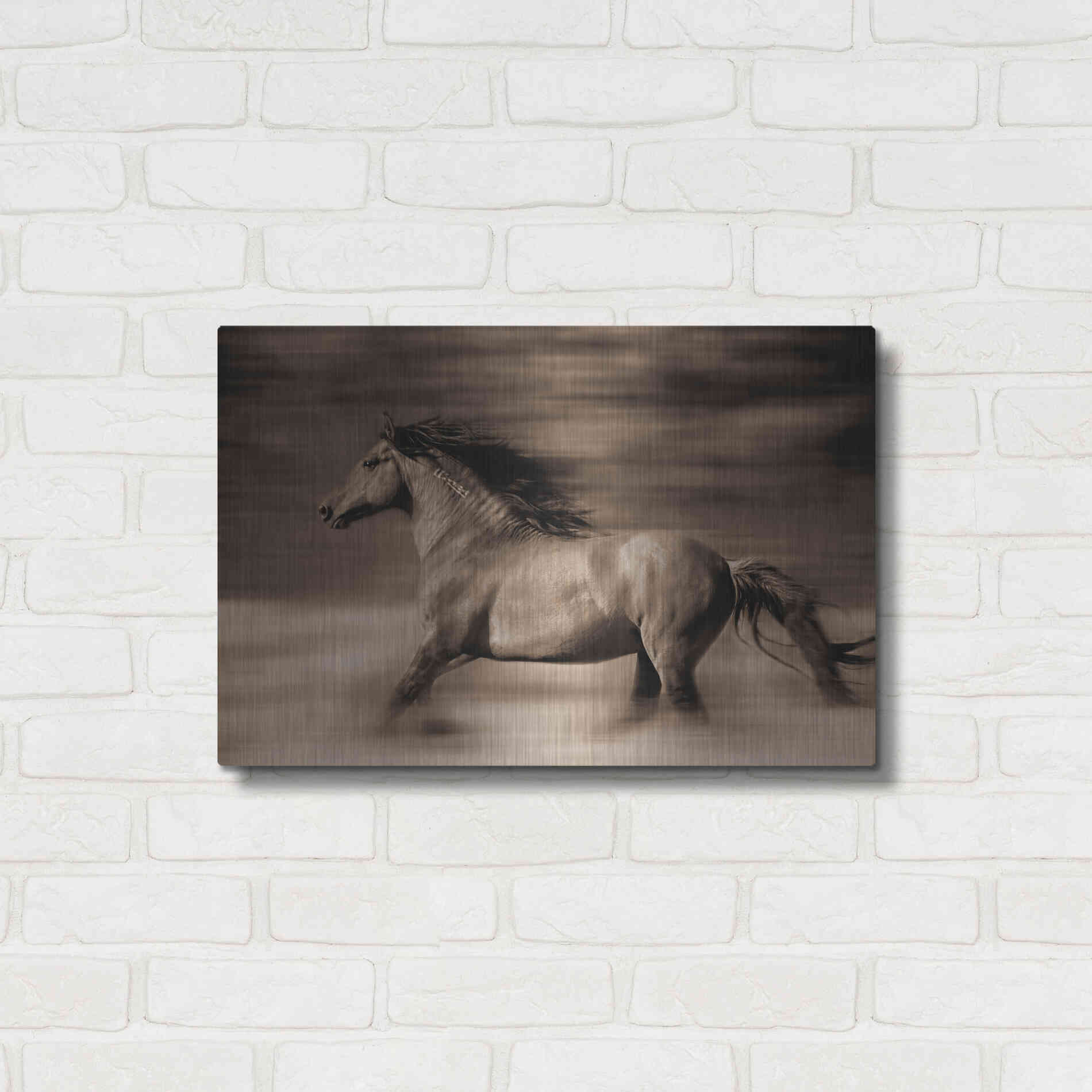 Luxe Metal Art 'Wind Runner' by Lisa Dearing, Metal Wall Art,24x16