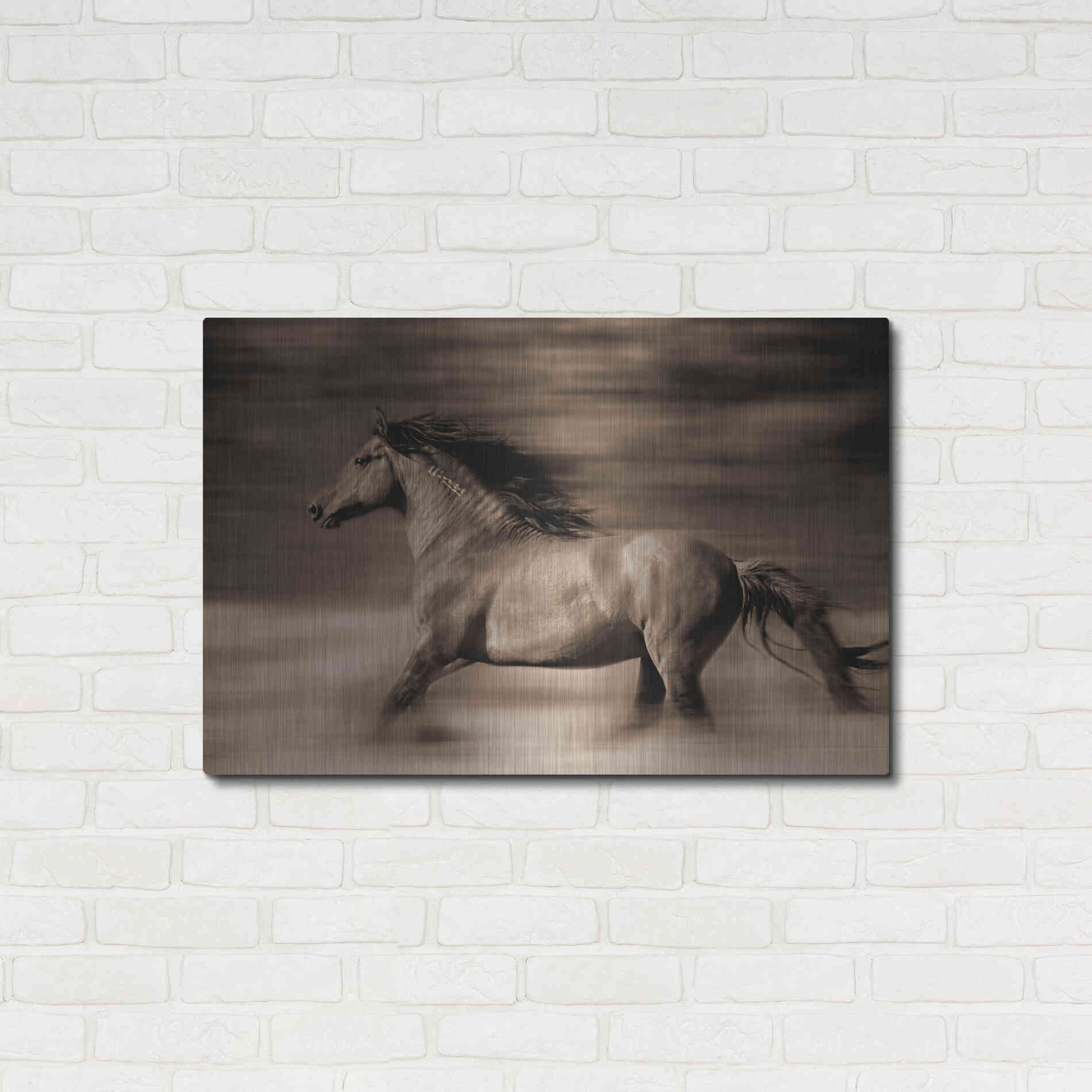 Luxe Metal Art 'Wind Runner' by Lisa Dearing, Metal Wall Art,36x24